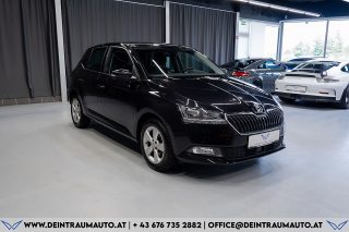 Skoda Fabia Style 1,0 TSI DSG*SHZ*R-KAMERA*1-Besitz*